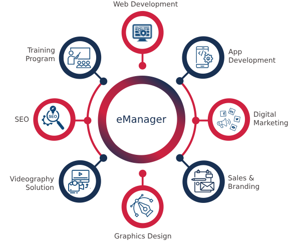 eManager IT Solution Services